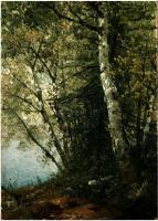 John Frederick Kensett - Study Of Beeches